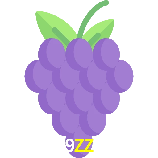 9ZZ