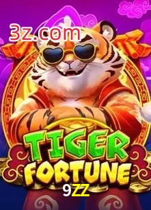 9ZZ